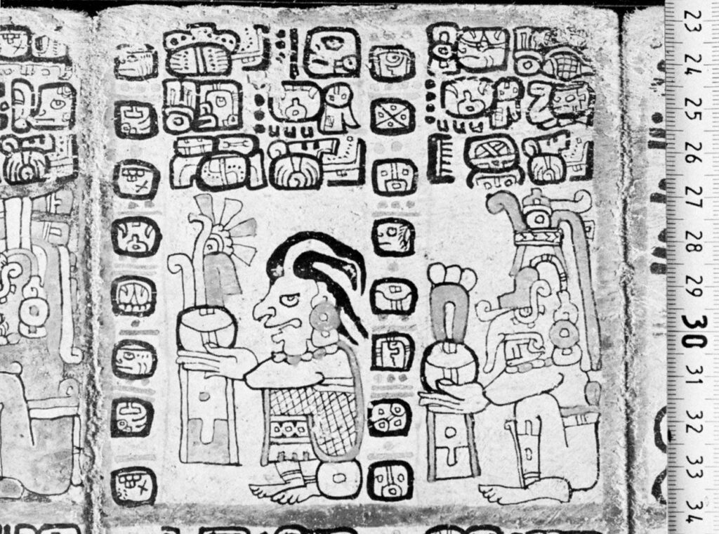 Cảnh quan đá vôi và rừng nhiệt đới ở bán đảo Yucatán