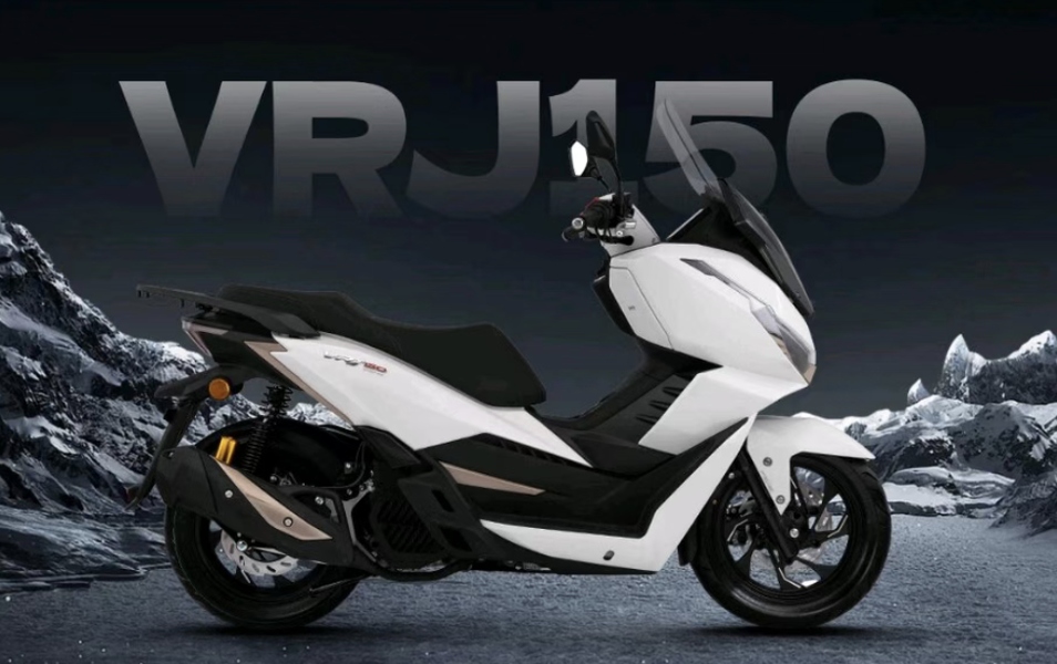 Phần đuôi Dayang VRJ150 với vị trí chờ lắp baga và thùng đồ