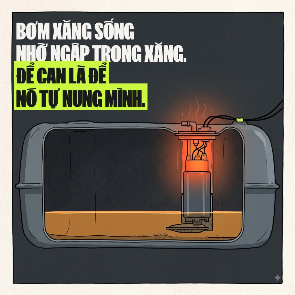 Hình ảnh minh họa việc chăm sóc ô tô trong quá trình sử dụng