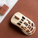 Hộp đựng Pulsar Feinmann F01 Noctua Edition với tông màu be và nâu