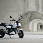 Honda MSX GROM 2027 bản SP với bộ tem trắng rằn ri