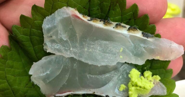 Cá rô phi tươi được bày bán tại khu chợ thực phẩm