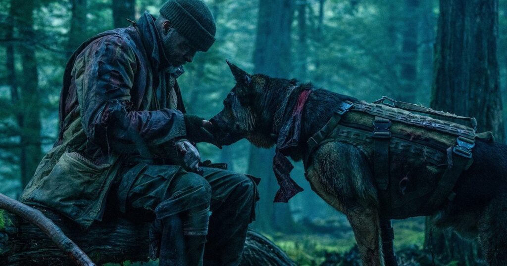 Brad Pitt trong vai James đứng cạnh chú chó quân vụ Odin giữa vùng hoang dã