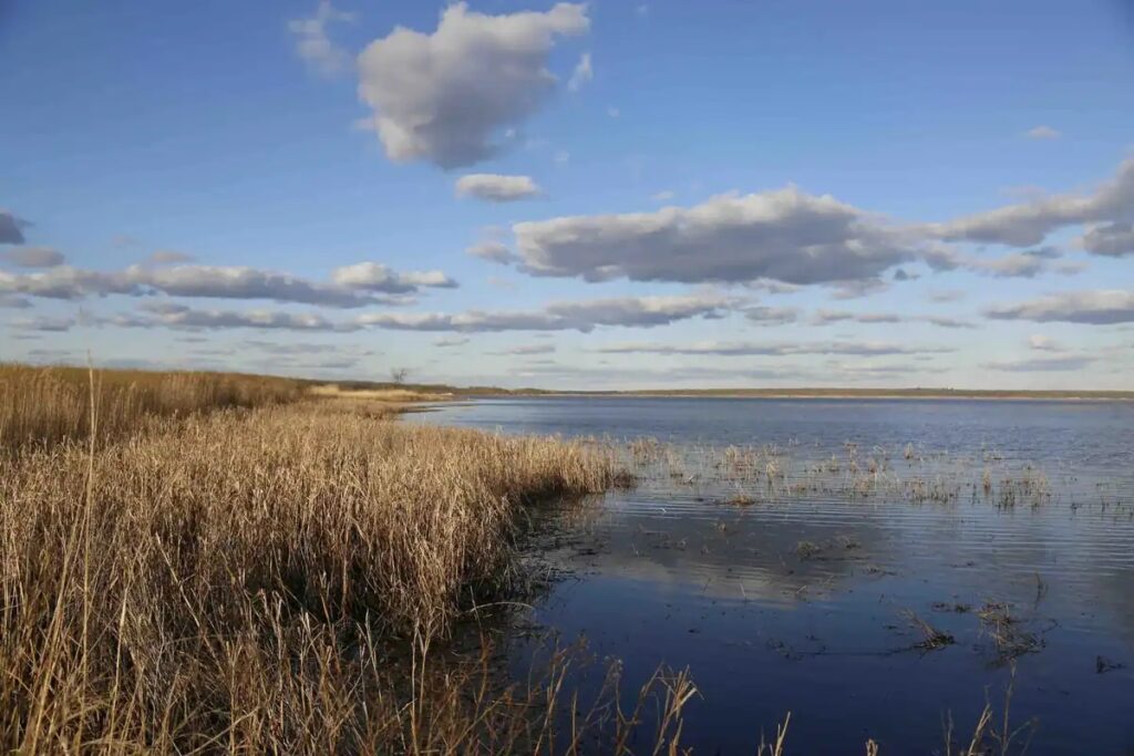 Khung cảnh hồ nước ngọt tại Saskatchewan, Canada
