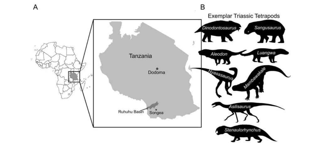 Khu vực tầng đá Manda thuộc thung lũng Ruhuhu ở Tanzania
