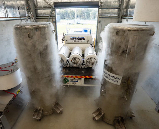 Không gian bên trong cơ sở Southern Cryonics với các bình bảo quản cryonics