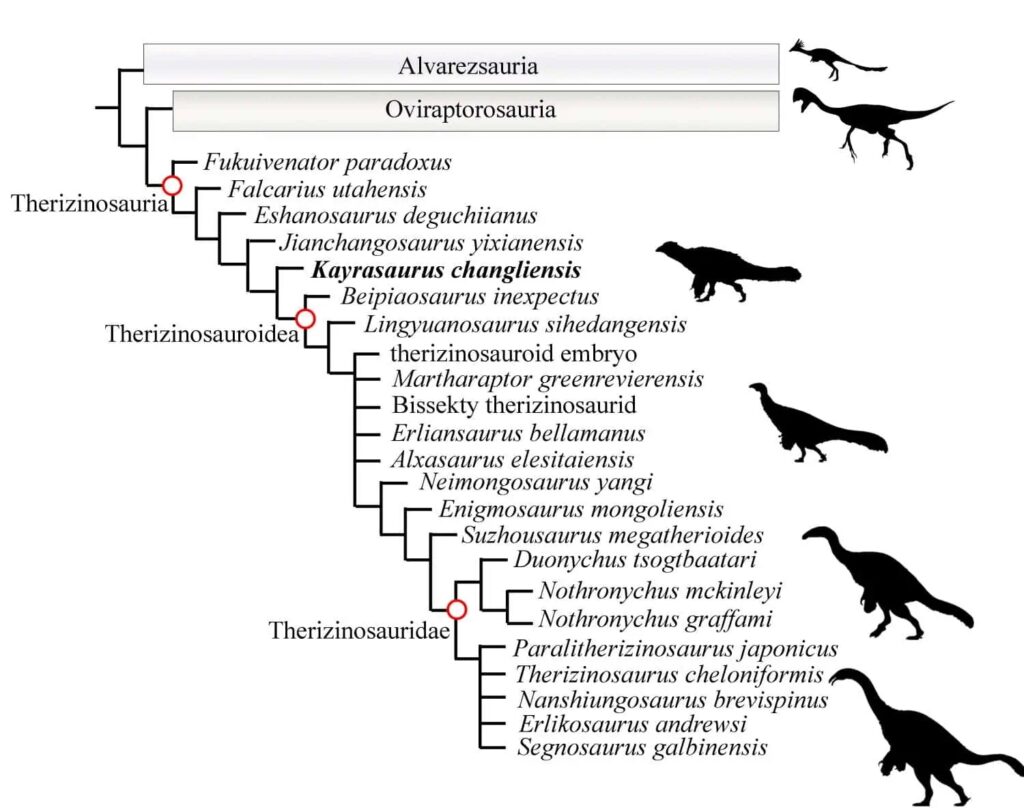 Minh họa các loài therizinosaur cùng sinh sống trong quần sinh vật Jehol