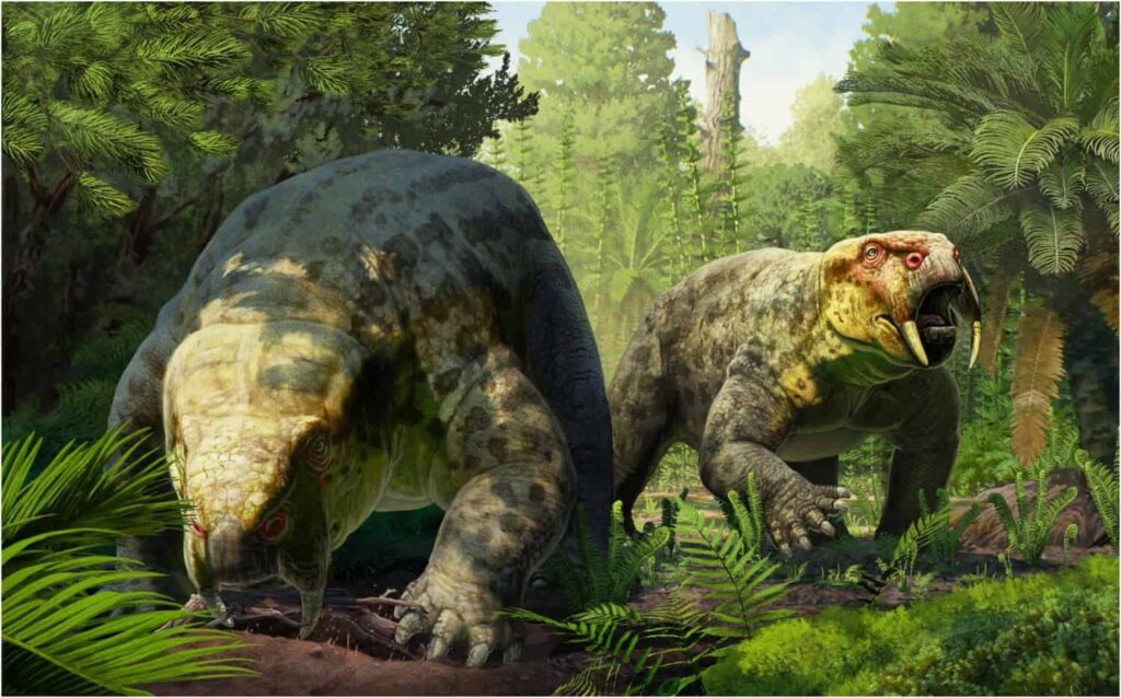 Mô hình hộp sọ Dinodontosaurus isiyavamanda được dựng từ dữ liệu CT