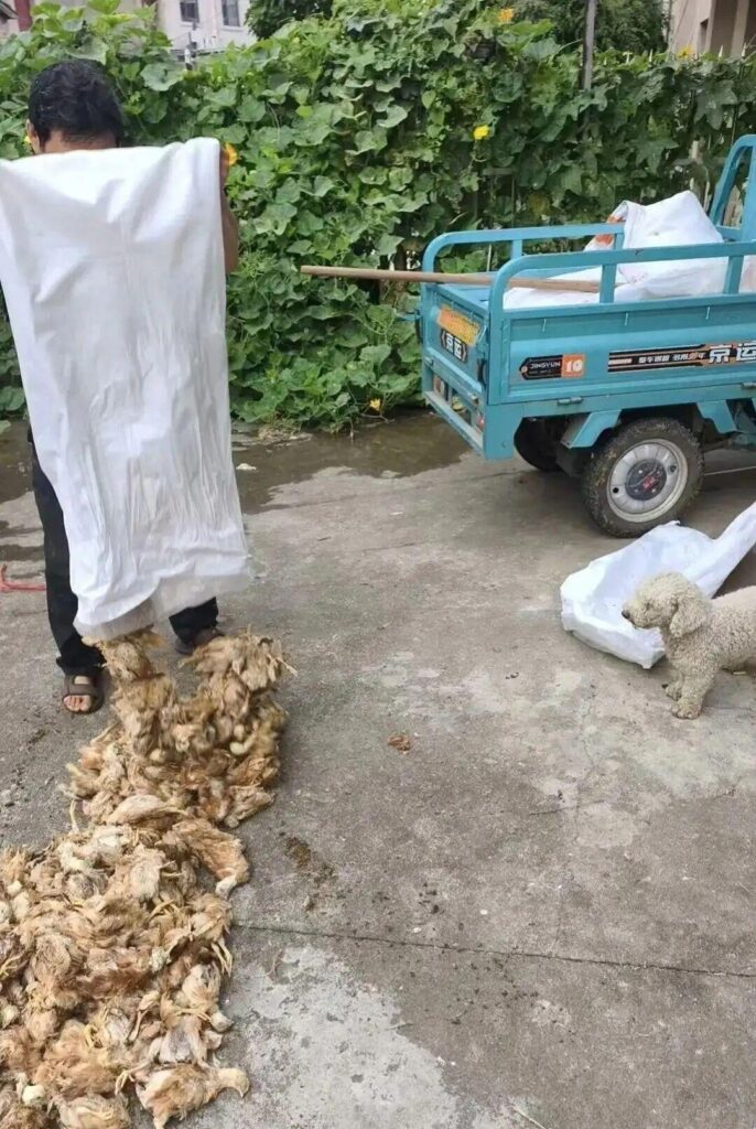 Khu vực hiện trường được kiểm tra sau vụ việc