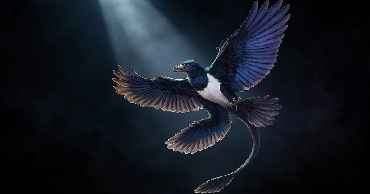 Hóa thạch gần như hoàn chỉnh của khủng long bốn cánh Norellraptor barsboldi