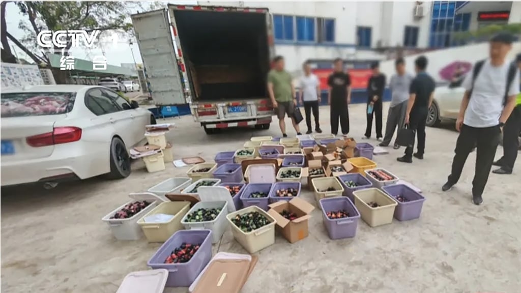 Bản đồ minh họa mạng lưới hoạt động xuyên quốc gia
